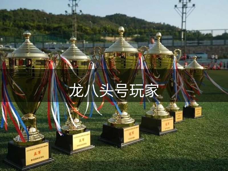 龙八头号玩家简介